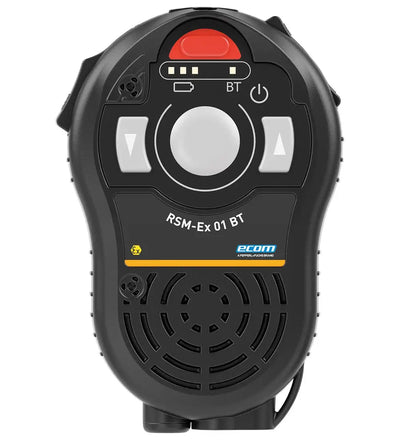 RSM-EX01B..-D2NAM-1BBL...ST Remote Speaker Microphone